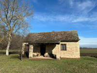 VIKENDICA - PRIVLAKA- ORANICA