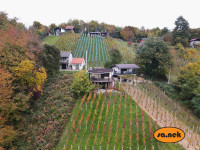 Vikendica s vinogradom u okolici Samobora