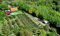 Vikendica sa vinogradom i voćnjakom, , luksuzno opremljena
