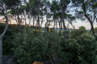 Vinkuran, odlično građevinsko zemljište 1.148m2