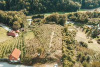 Vinograd, voćnjak i šuma, Vinica Breg, 6302 m2