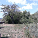 VIŠKOVO-Dvostruki ulaz, jedan projekt – zemljište za novu priču