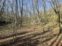Viškovo, Saršoni, poljoprivredno zemljište 10.317m2