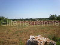 Višnjan - građevinsko zemljište, 8970m2