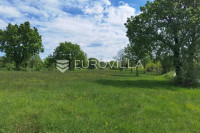 Višnjan, građevinsko zemljište za investiciju, 12000 m2