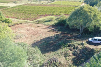 Višnjan - prodaja građevinskog zemljišta nedaleko od Poreča