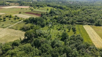 VIŠNJAN - ŽUŽIĆI, poljoprivredno zemljište od 5694 m2