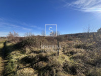 VIŽINADA, GRAĐEVINSKO ZEMLJIŠTE 3500 m2