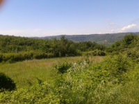 VIŽINADA-POLJOPRIVREDNO ZEMLJIŠTE NA PRODAJI