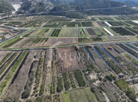 VLAKA, OPUZEN – Poljoprivredno zemljište 4.835 m²