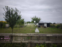 VOĆNJAK - ORANICA 2787m² [BELIŠĆE]