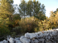 VODICE, poljoprivredno zemljište, 11556 m2, 3,5 km do mora