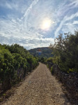 Vodice, poljoprivredno zemljište - 2774m2