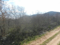 Vodice, poljoprivredno zemljište 5.025 m2; 5 km od centra Vodica
