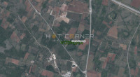 Vodnjan, maslinik 2.370m2