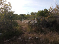 ISTRA VODNJAN, poljoprivredno zemljište 5463 m2