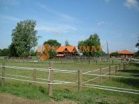 Vrbovec - seosko imanje za uzgoj konja - 85.000 m2