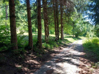 Vrbovsko, Kamensko, zemljište 7176 m2