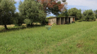 Vrsar - građevinsko zemljište okruženo prirodom