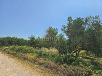 VRSI - građevinsko zemljište 1018 m2