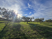 VRSI - građevinsko zemljište 975m2