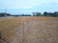 Vrsi, građevinsko zemljište s projektom
