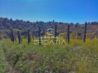 VRTLINOVEC, VINOGRAD I VOĆNJAK