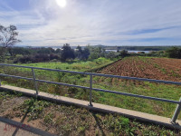 ZADAR - POSEDARJE, GRAĐ.ZEMLJIŠTE 1043 M2, PRODAJA, POGLED, LOKACIJA!!