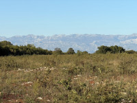 ZADAR - ŽERAVA, POLJOP. ZEMLJIŠTE 7000 M2, PRODAJA, DOBRA LOKACIJA!