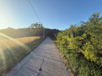 ZAGREB - GORNJA DUBRAVA (ŠUŠKOVIĆI), PRODAJE SE POLJOPRIVREDNO ZEMLJIŠ