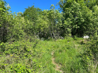 Zamet, građevinsko zemljište 1800 m2