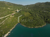 ZATON DOLI – Uređeno poljoprivredno zemljište uz more (27.785 m²)