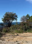 Zaton- Građevinsko zemljište 2.red uz more - 690 m2