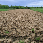 ŽAŽINA - Poljoprivredno Zemljište Uz Rijeku Kupu