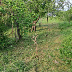 ŽAŽINA - Poljoprivredno zemljište uz rub građevinske zone