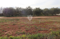 Zemljište 1.492 m² u okolici Tinjana – mir, priroda i potpuna privatno