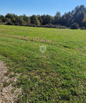 Zemljište 1.492 m² u okolici Tinjana – mir, priroda i potpuna privatno