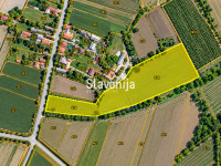 Zemljište 23.759 m² uz cestu - odlična lokacija [Drenjski Slatinik]