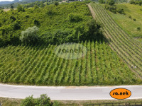 Zemljište (877m2) - sveta Jana