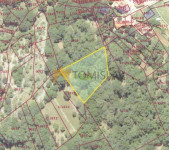Zemljište: Beli, 1460.00 m2