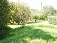 Gornji stenjevec, Dubje, građevinsko zemljište 3648 m2