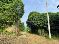 Zemljište s dvije ruševine - 1 km od Huma