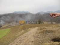 Zemljište: Lenišće, 30000.00 m2
