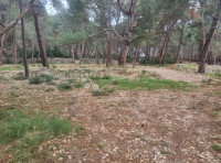 Zemljište poljoprivredno Mali Lošinj