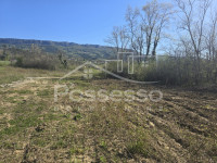 Zemljište Prodaja Buzet 2000 m2