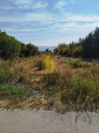 Zemljište, Prodaja, Jasenice, Maslenica, 548m2, Građevinsko
