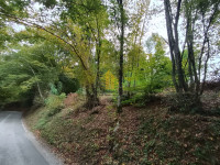 Zemljište, Prodaja, Karlovac, Ladvenjak, 5114m2, Građevinsko