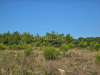 Zemljište Prodaja Mulo 500 m2