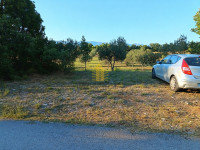 Građevinsko zemljište, prodaja, 1.883 m² u Pridragi – 47 maslina, pogl