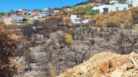 Zemljište, Prodaja, Omiš, Stanići, 2313m2, Građevinsko